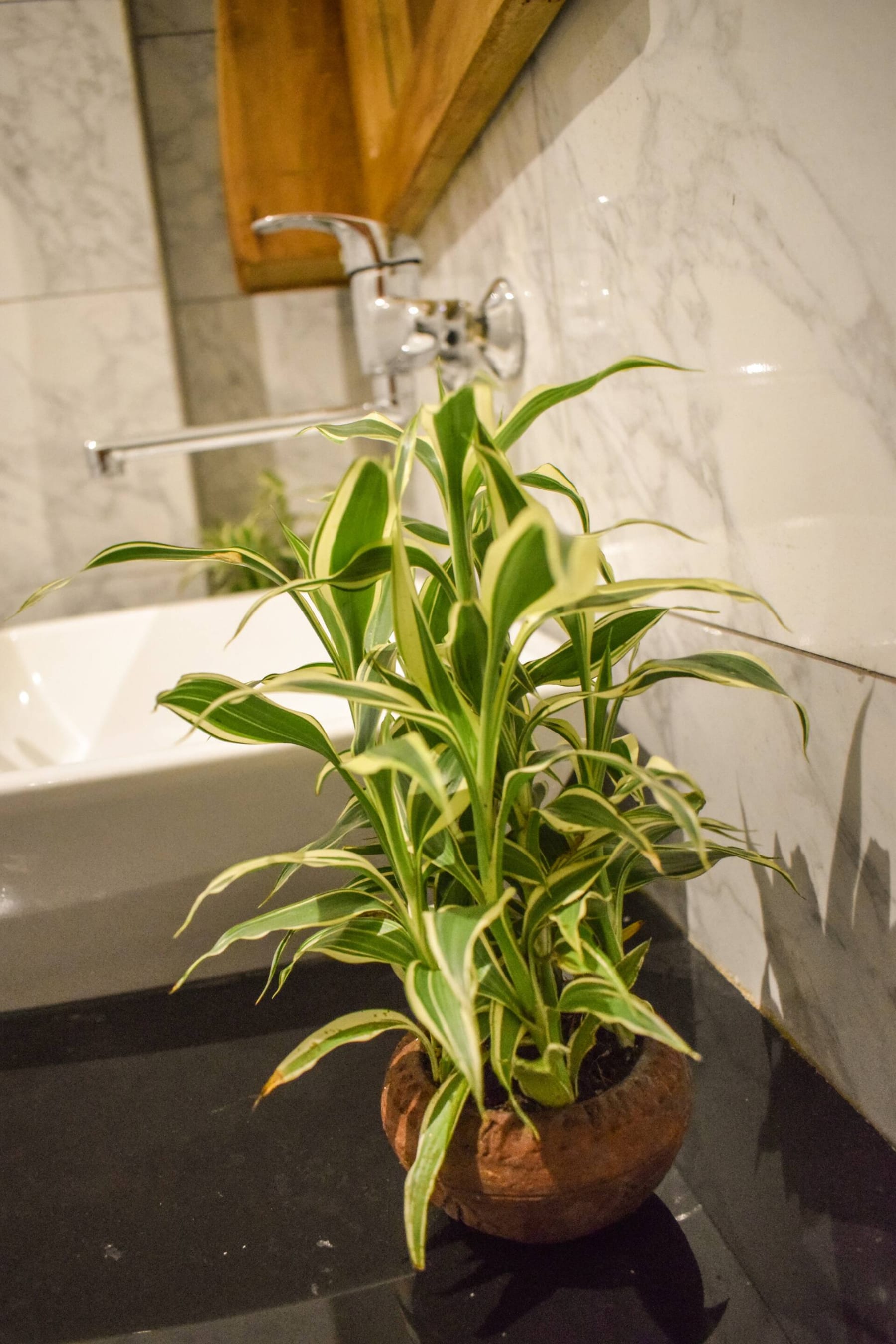 Private bathroom