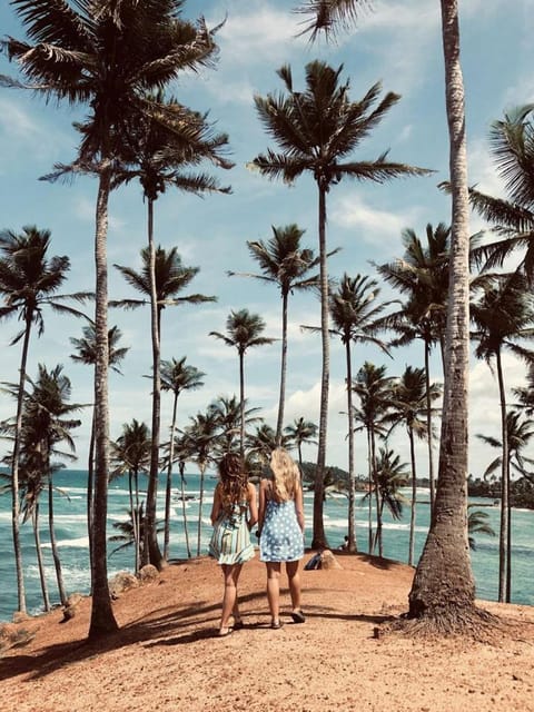 The palms on Coconut Tree Hill