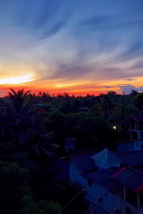Sunset over the lane, from our roof
